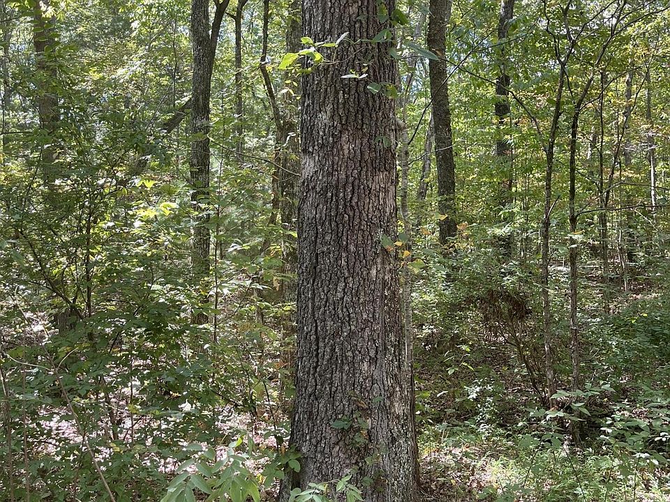 1st image of 589 Barney Creek Rd