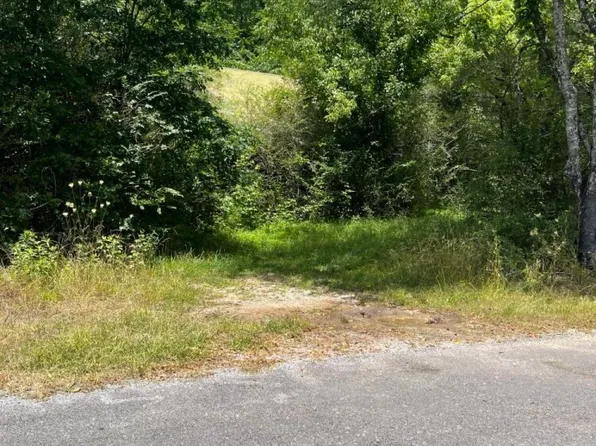 0 County Road 648, Hanceville, AL 35077