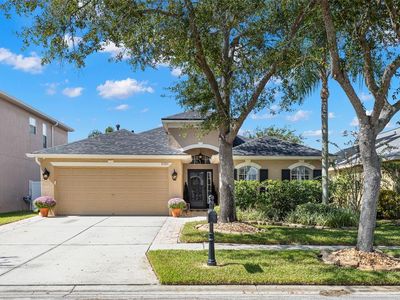 11211 Cypress Reserve Dr, Tampa, FL, 33626