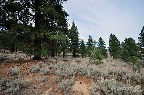 900 Stutler Creek Rd photo 1