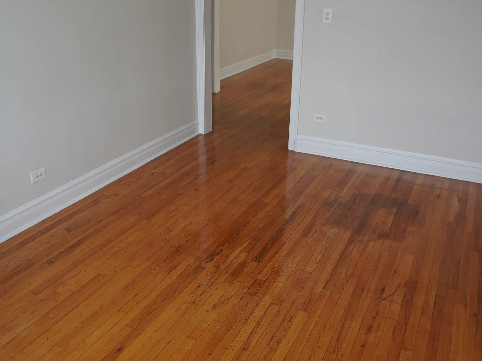 1 bed, 1.0 bath, 800 sqft, $1,225 — Photo 2