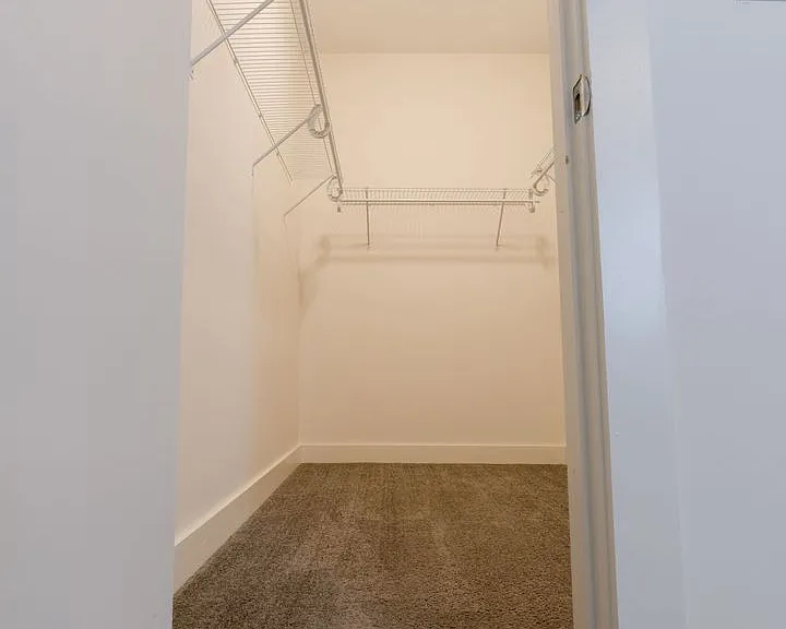 The Williams — Photo 129