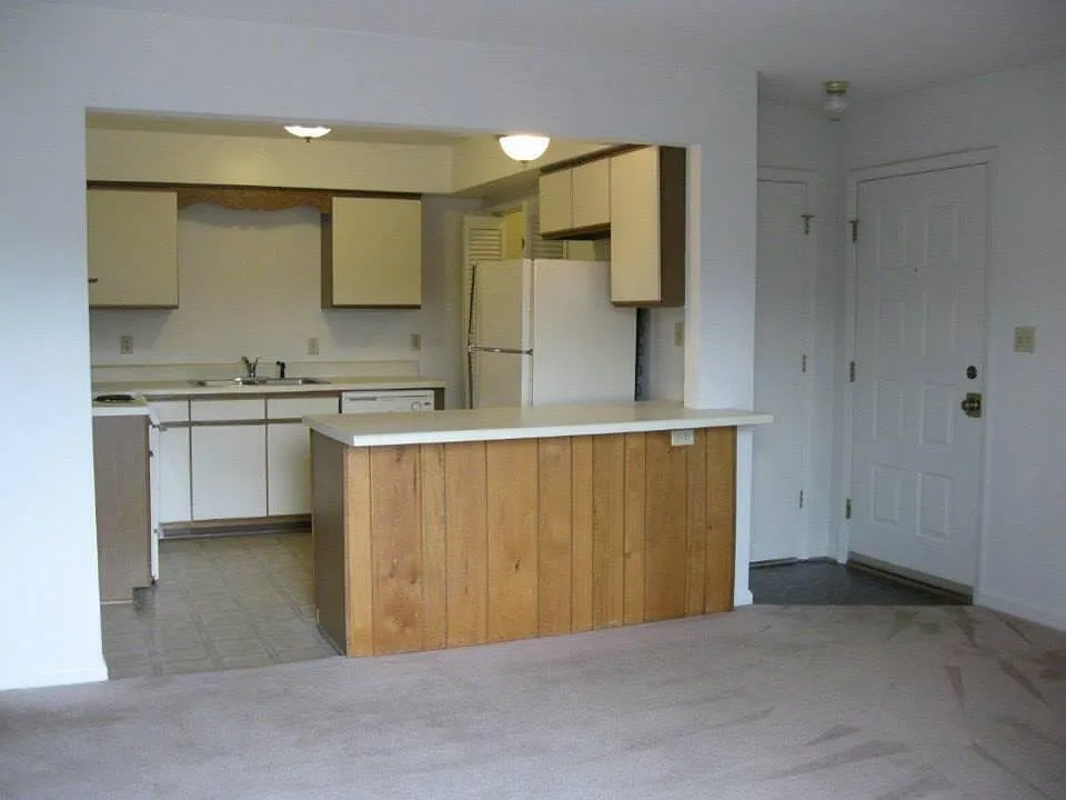 2 bed, 1.5 bath, 920 sqft, $1,250 — Photo 4