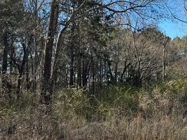 Wildflower Hill Rd, Kilgore, TX 75662