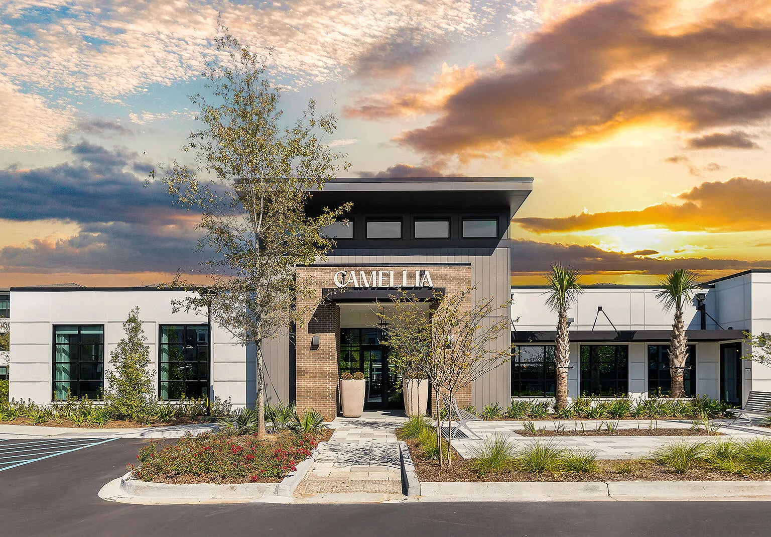 Camellia at One Nexton — Photo 2