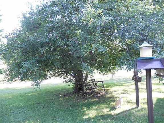 4th image of 19 Edgewood Dr