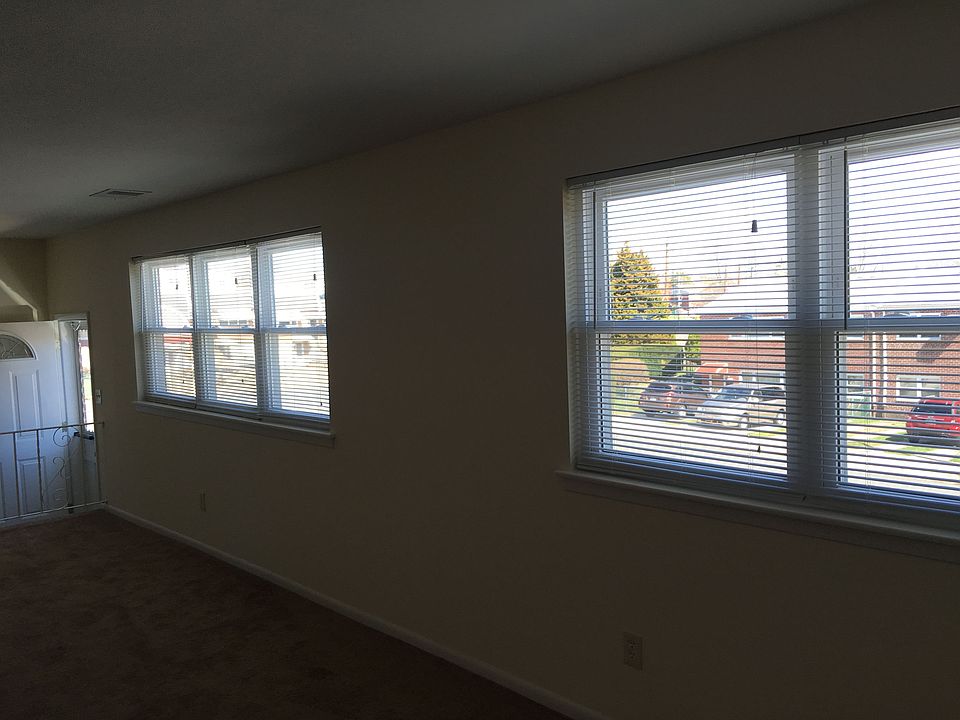 Living Room Windows