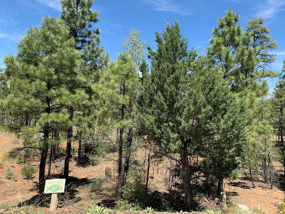 1st image of 2070 High Sierra Ct