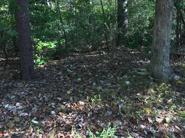57 Tree Top Way, Oakland, MD 21550