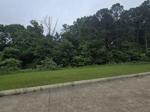 Lot 1 Hillcrest Avenue, Cabool, MO 65689