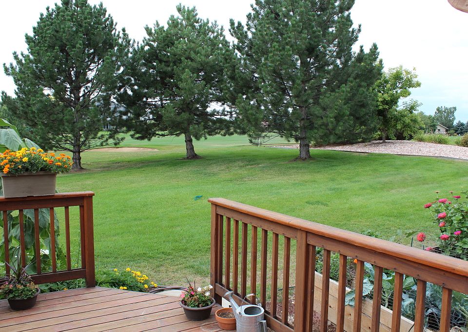 deck off family room