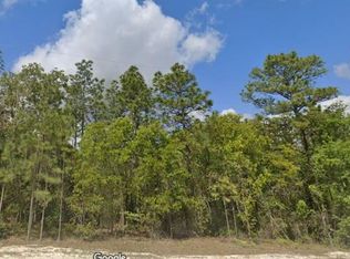 Dusky Warbler Rd LOT 16, Brooksville, FL 34614