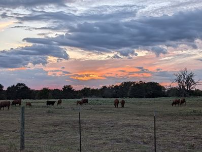 2552 County Road 4105, Greenville, TX, 75401