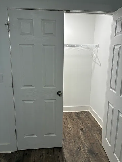 South Forest Avenue Duplexes - 503 — Photo 3