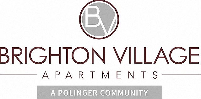 BV Logo