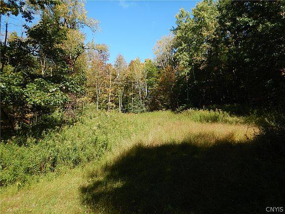 2nd image of Phillips Rd
