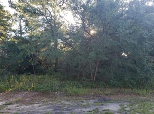 2160 Maximilian Ave #18, Spring Hill, FL 34609