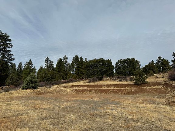 5th image of 13096 Turnstone Dr