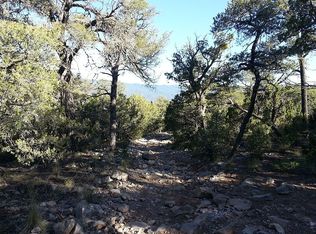 10 Nez Perce Rd, Edgewood, NM 87015