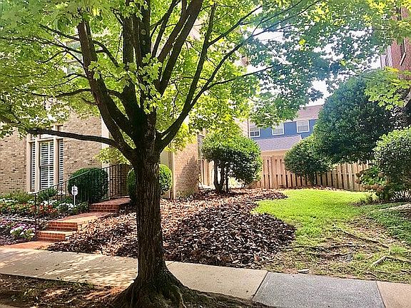 The is the side yard