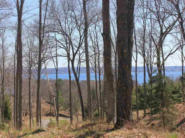 8080 Lindy Ln, Harbor Springs, MI 49740