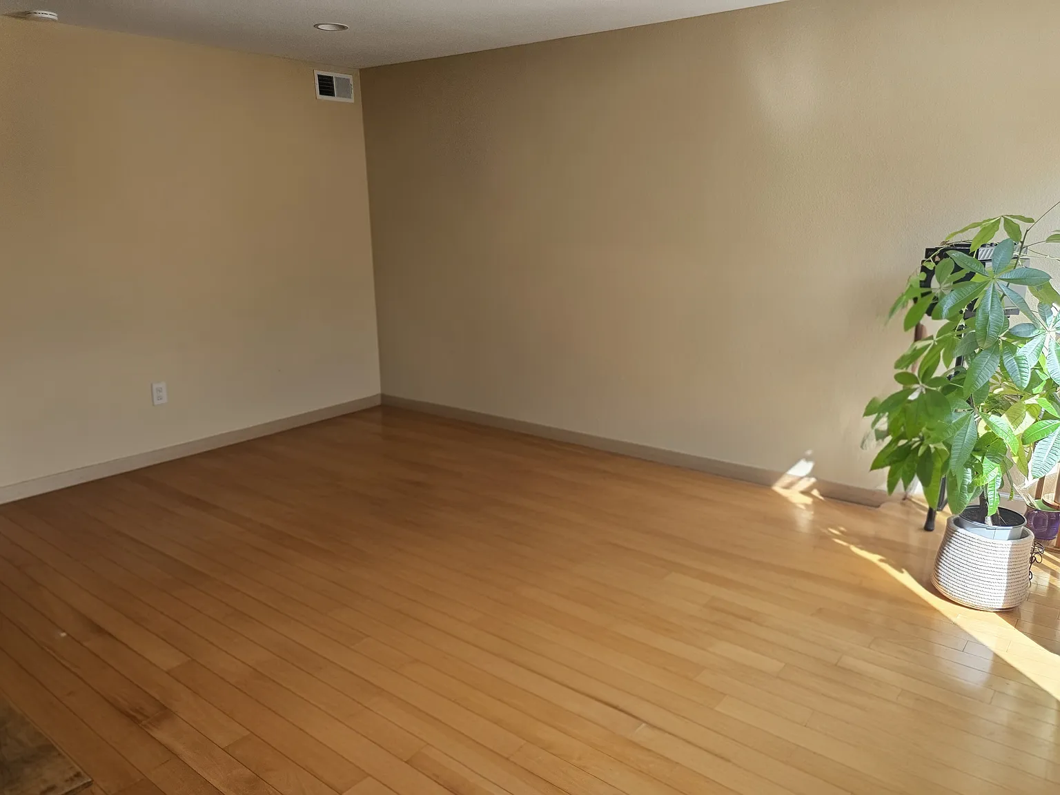 3 bed, 2.5 bath, 1350 sqft, $4,200 — Photo 4