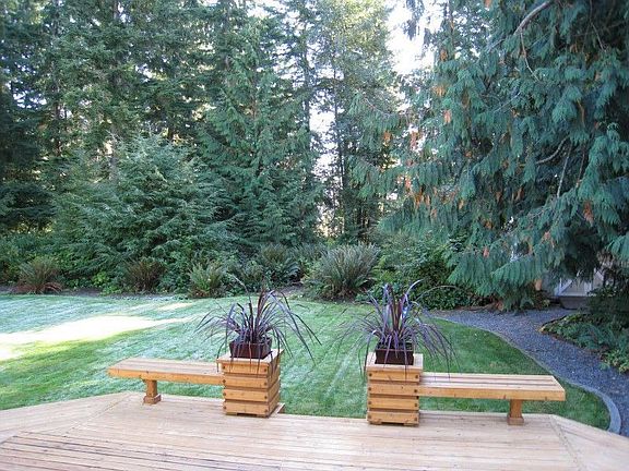 Native Evergreens