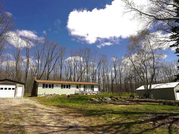 3471 W 56th St, Fremont, MI 49412