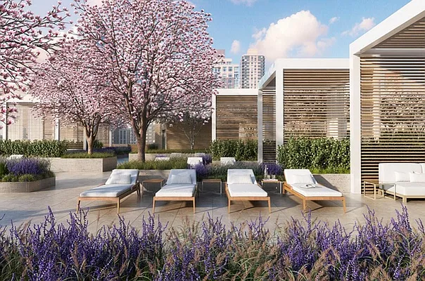 Rented by Corcoran | media 72