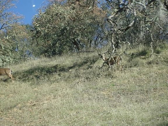 3rd image of 6952 Garford Pl