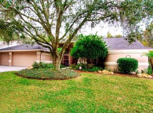 15916 Dawson Ridge Dr, Tampa, FL 33647