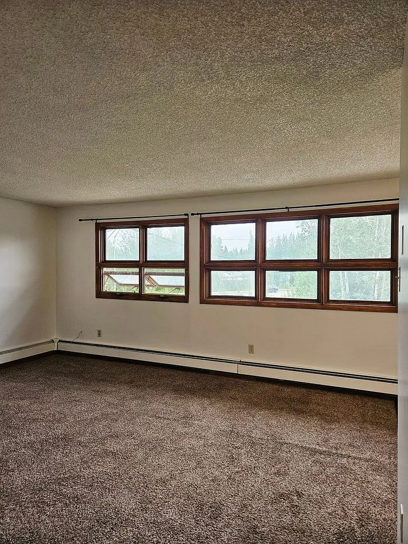 Charming 1 Bedroom/1 Bath in Fairbanks, electric only! — Photo 4