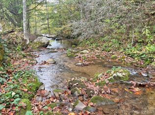 7361 Meadow Fork Rd, Hot Springs, NC 28743