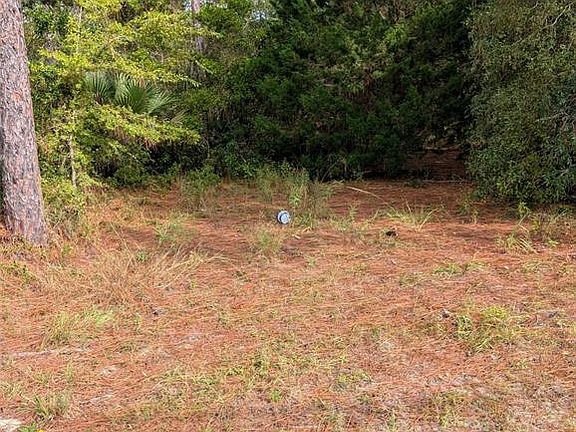 4th image of 9115 S SUNCOAST BLVD
