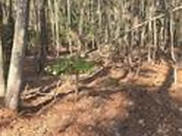 18 Pepper Creek Rd, Susan, VA 23163