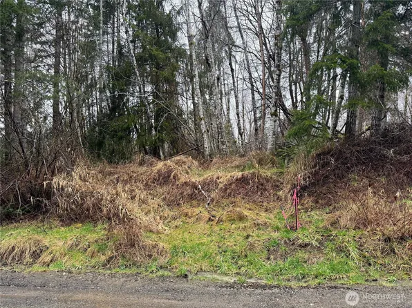 61 W Thunderbird Drive, Elma, WA 98541