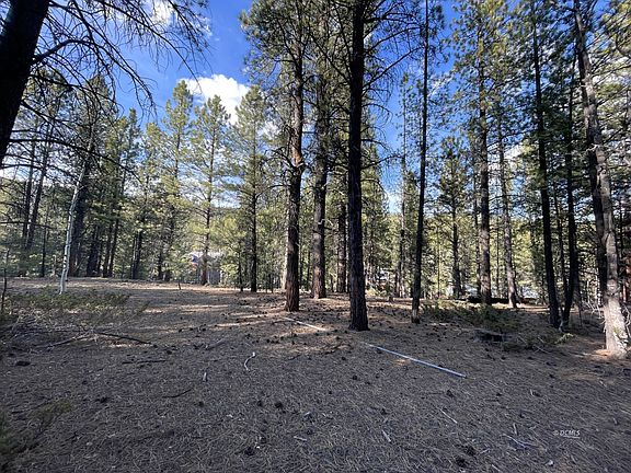 2nd image of 90 W Mammoth View Dr