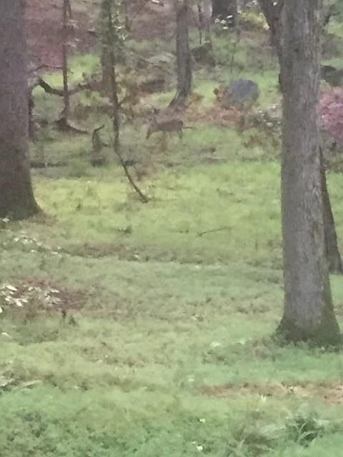 2nd image of 788 Black Knob Church Rd