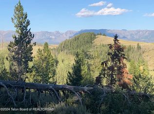 20 Packer Ridge Rd, Bondurant, WY 82922