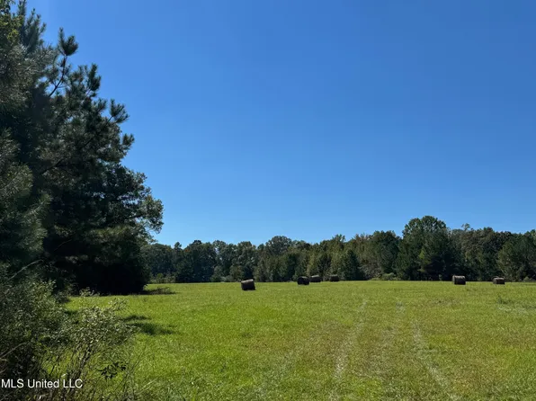 Parsons Rd, Terry, MS 39170