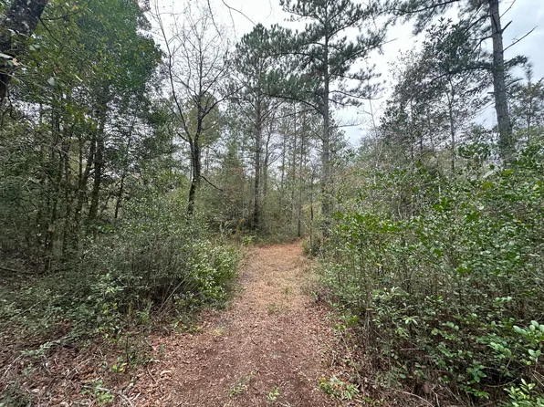 PARCEL Turkey Track Rd #D, Crestview, FL 32539