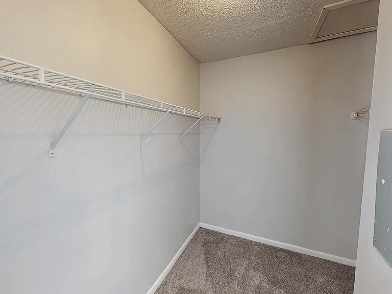 Large Walk-In Closets
