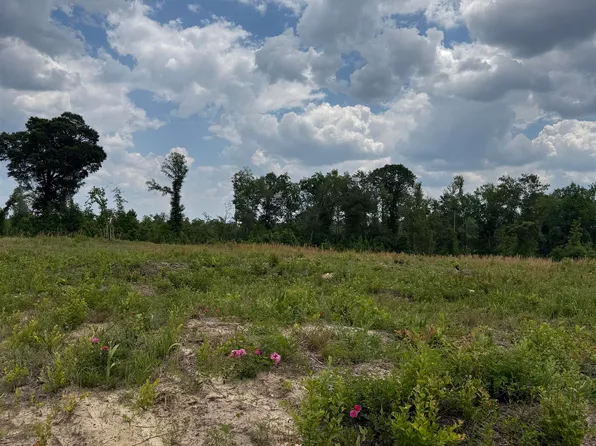 Jd Williams Rd, Cadwell, GA 31009