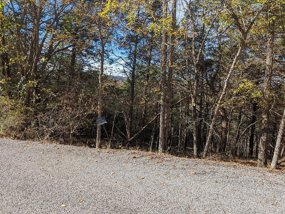 000 Cedar Bluff Drive, Golden, MO 65658 MLS 60233900 Zillow