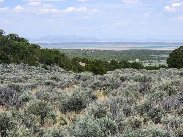 Lot 2133 Trujillo Road, Fort Garland, CO 81133