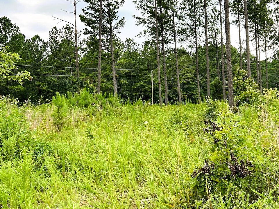 2nd image of TRACT 9 Hughes Lake Rd SE