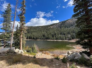 Middle Lot Chicago Creek Rd, Idaho Springs, CO 80452