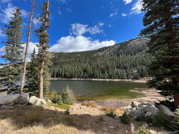 South Lot Chicago Creek Road South Lot, Idaho Springs, CO 80452