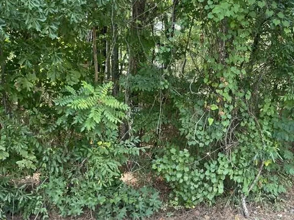 LOT 398 Little River Trl, Eatonton, GA 31024