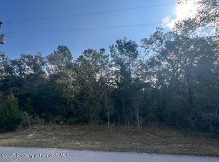 3328 Horseshoe Ln, Spring Hill, FL 34606